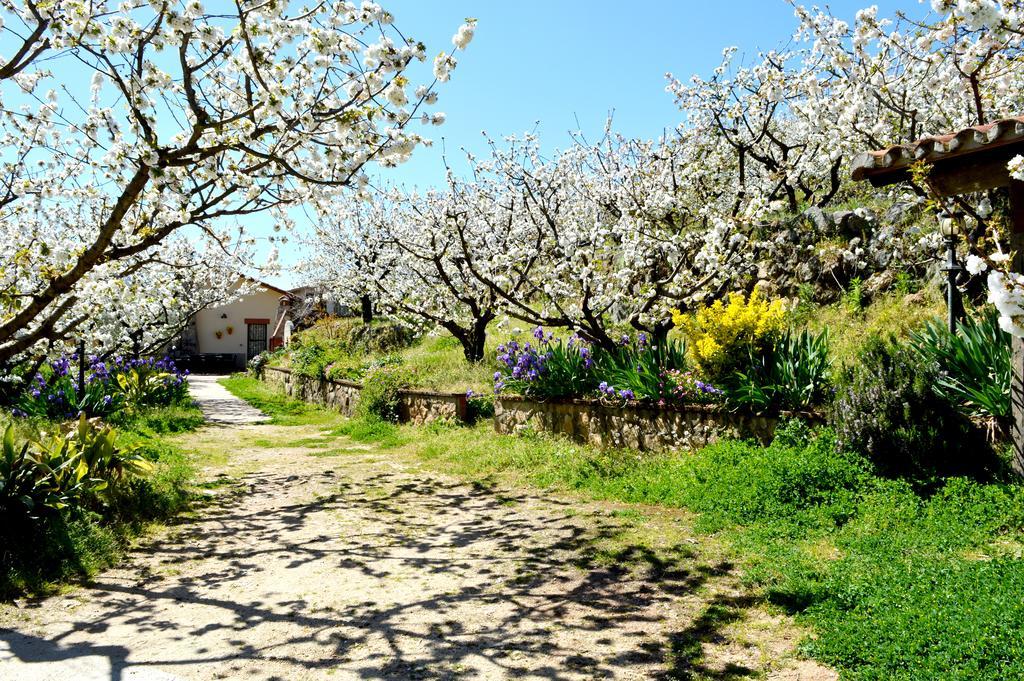 הוילה נבאקונסחו Casa Valeriana מראה חיצוני תמונה